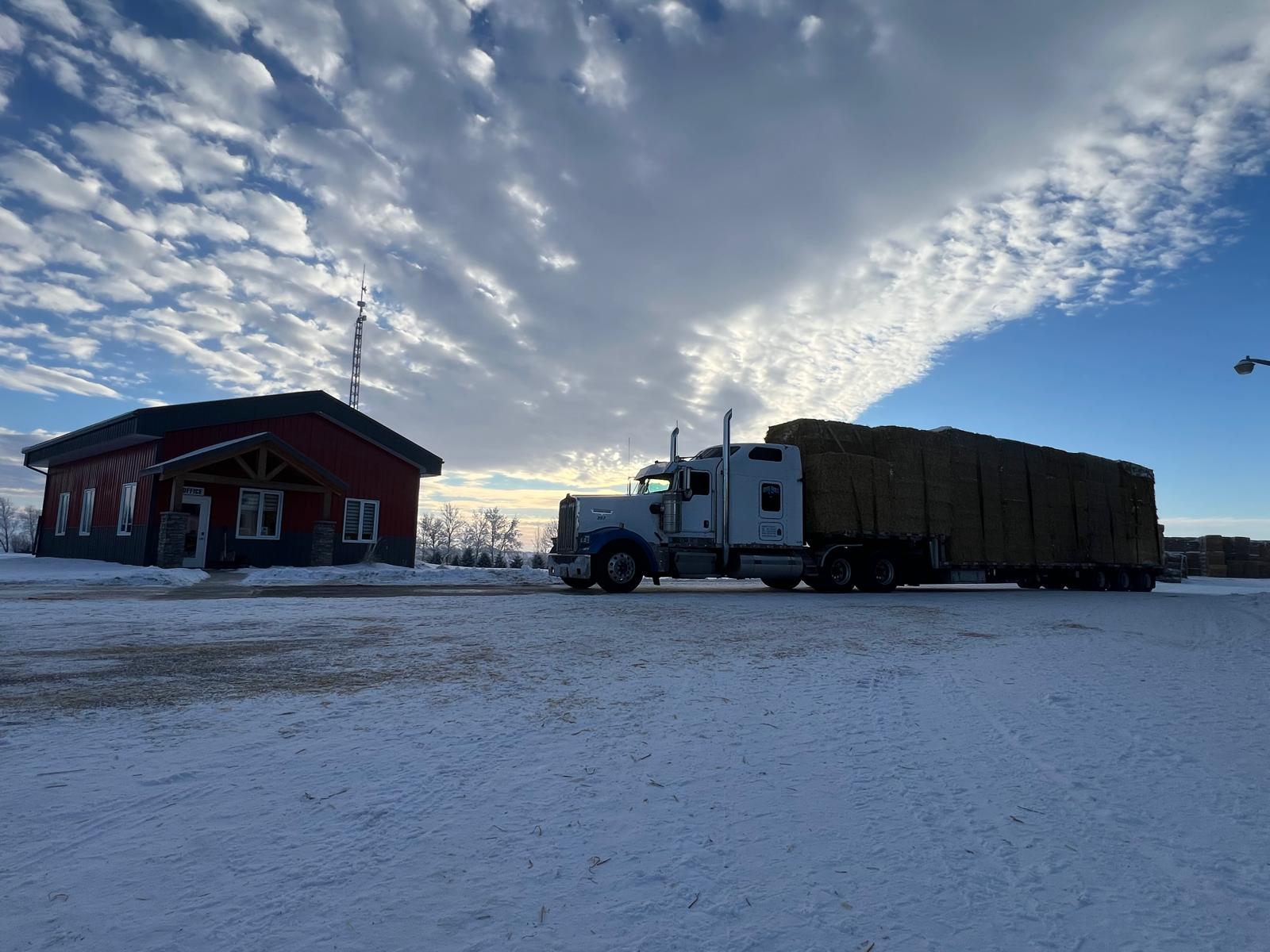 Hay loaded out at sunrise
